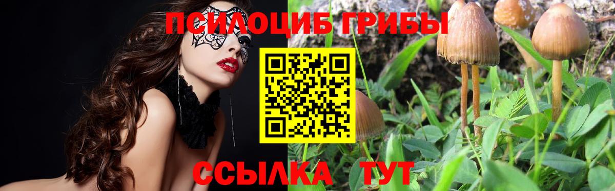 Псилоцибиновые грибы мицелий  Галлюциногенные грибы мухоморы  Вход с VPN  Кизилюрт 